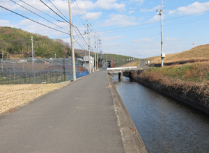 二ノ口水門から一ノ口水門に向かう途中の高瀬通し